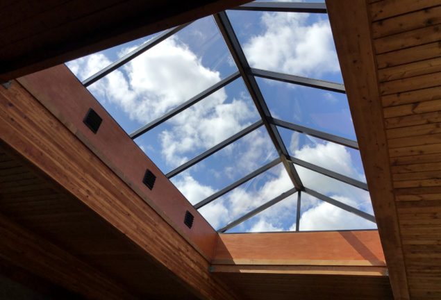 Artistic Skylight