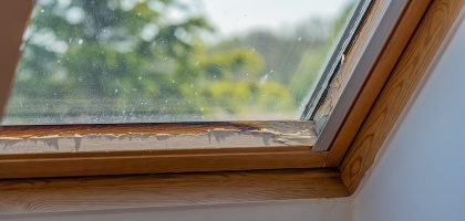 A window into the world of reasons for skylight replacement
