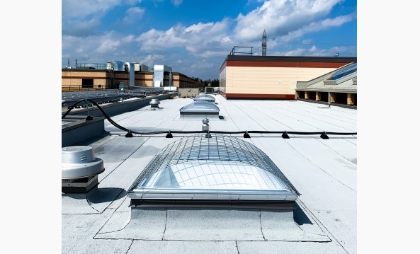 Skylight Fall Screens