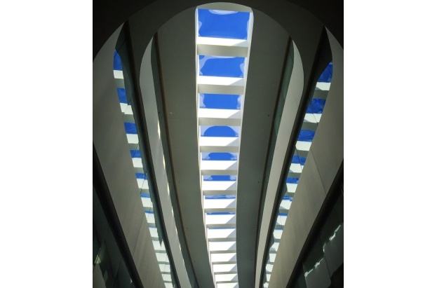 Fall Protection Skylights