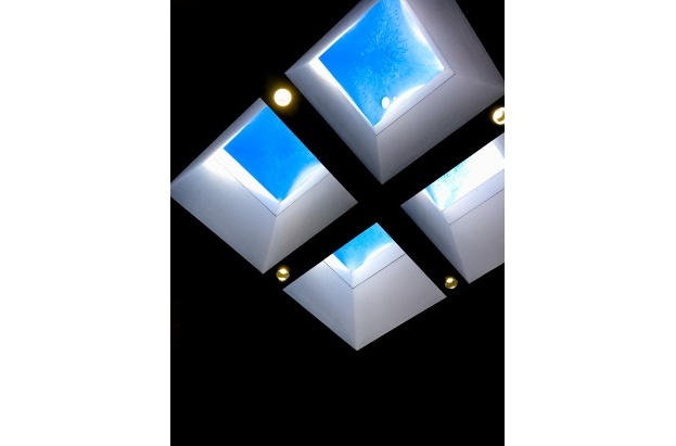 Fall Protection Skylights