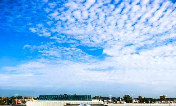 Fall Protection Skylights