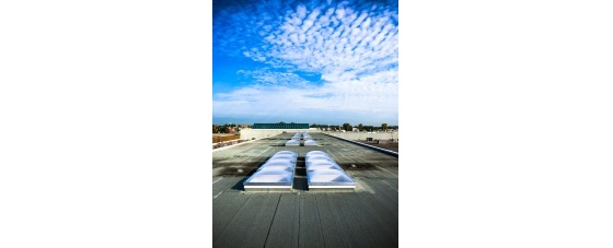 Fall Protection Skylights